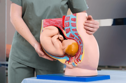 Obstetrics & Gynecology